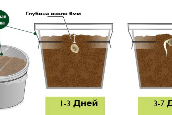 Почему не заходит на кракен