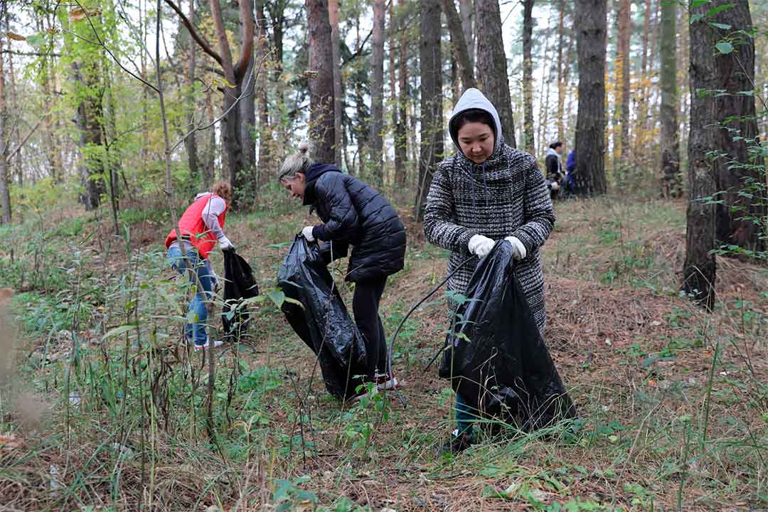 Кракен современный даркнет маркетплейс